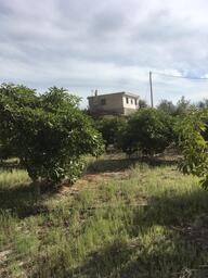 Foto 0